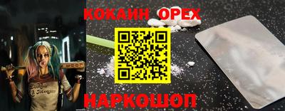 амф Гусев