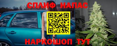 мяу мяу мука Гусь-Хрустальный