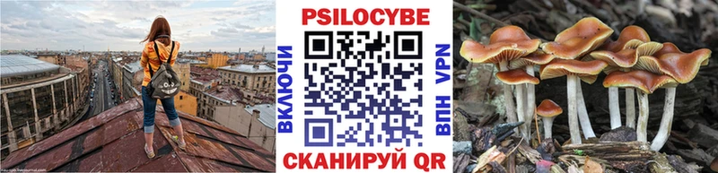 Псилоцибиновые грибы Psilocybe  Серпухов 