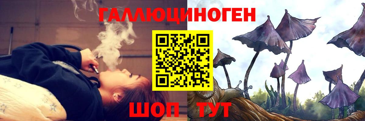 ГАШ Серпухов