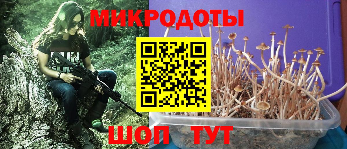Галлюциногенные грибы мухоморы  Вход с VPN  что такое   Серпухов 